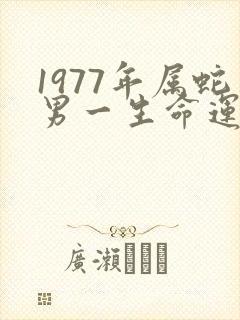 1977年属蛇男一生命运