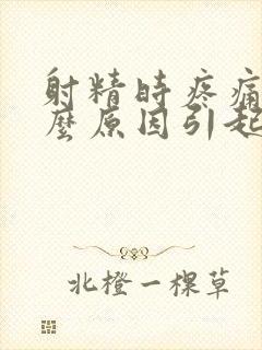 射精时疼痛是什么原因引起的