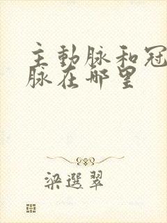 主动脉和冠状动脉在哪里