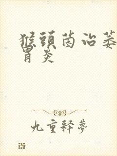 猴头菌治萎缩性胃炎