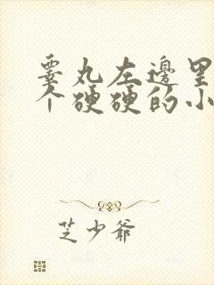 睾丸左边里面有个硬硬的小疙瘩