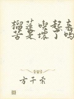 榴莲吃起来有点苦是坏了吗