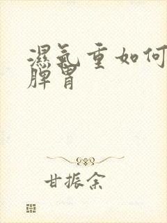 湿气重如何调理脾胃