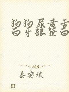 狗狗尿黄舌头发白牙龈发白