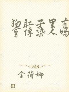 狗肚子里有虫子会传染人吗