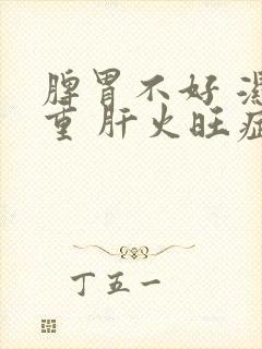 脾胃不好 湿气重 肝火旺症状