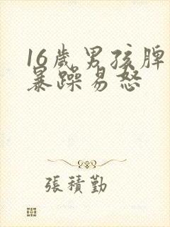 16岁男孩脾气暴躁易怒