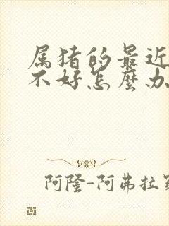 属猪的最近财运不好怎么办