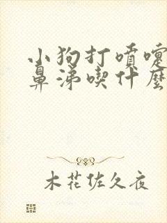 小狗打喷嚏流黄鼻涕吃什么药