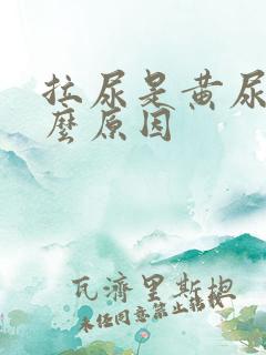 拉尿是黄尿是什么原因