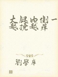 大腿内侧一片红越挠越痒