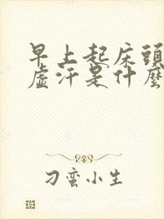 早上起床头晕冒虚汗是什么原因