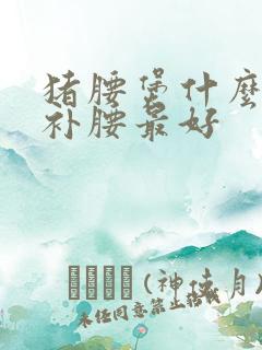 猪腰煲什么补肾补腰最好