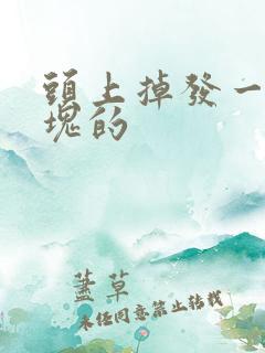 头上掉发一块一块的