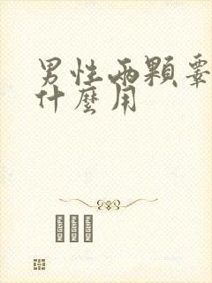 男性两颗睾丸有什么用