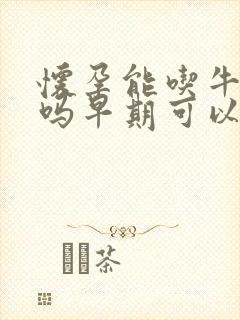 怀孕能吃牛油果吗早期可以吃吗