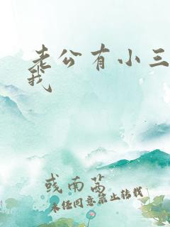 老公有小三不理我