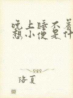 晚上睡不着觉总想小便是什么原因