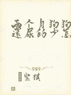 两个月狗狗尿频还尿的少怎么办