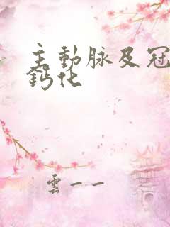 主动脉及冠状壁钙化