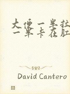 大便一半拉出来一半卡在肛门