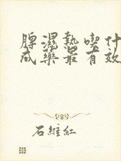 脾湿热吃什么中成药最有效