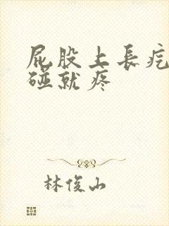 屁股上长疙瘩一碰就疼