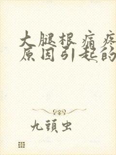 大腿根痛疼什么原因引起的