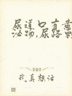 尿道口有黄色分泌物,尿路刺痛