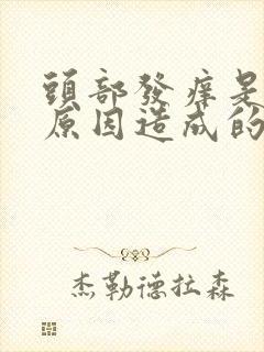 头部发痒是什么原因造成的