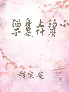 猫身上的小黑虫子是什么