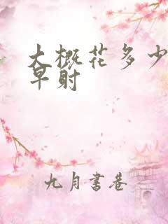 大概花多少钱治早射