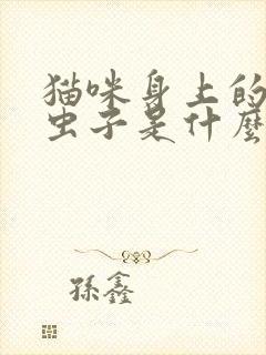 猫咪身上的黄色虫子是什么