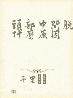 头部中间脱发是什么原因