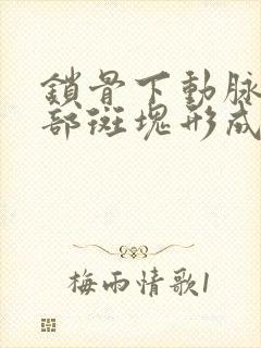 锁骨下动脉起始部斑块形成