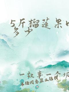 5斤榴莲果肉有多少