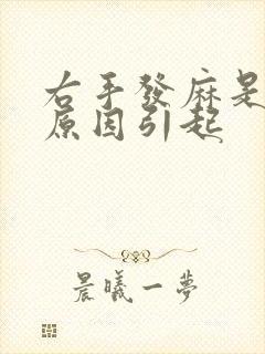 右手发麻是什么原因引起