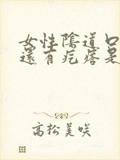 女性阴道口痒痒还有疙瘩是怎么回事