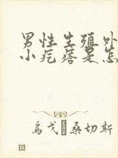 男性生殖外皮有小疙瘩是怎么回事