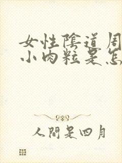 女性阴道周围长小肉粒是怎么回事