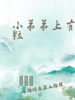 小弟弟上有小肉粒