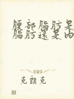 腹部脂肪是皮下脂肪还是内脏脂肪