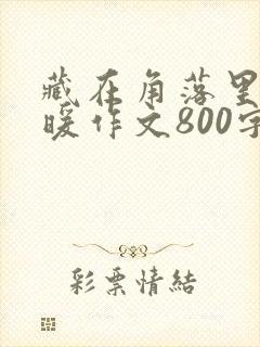 藏在角落里的温暖作文800字