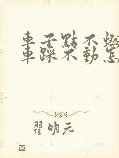 车子点不燃火刹车踩不动怎么回事