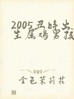2005丑时出生属鸡男孩命运如何