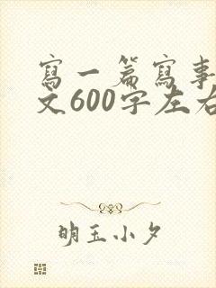 写一篇写事的作文600字左右