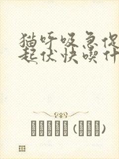 猫呼吸急促腹部起伏快吃什么药