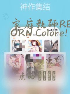 家庭教师REBORN Colore! 画集：结局+番外
