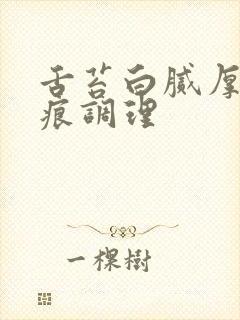 舌苔白腻厚有齿痕调理