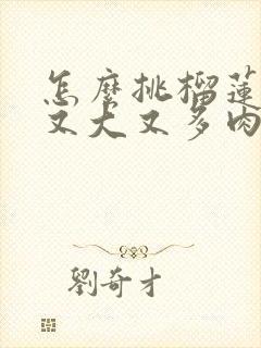 怎么挑榴莲挑得又大又多肉好吃